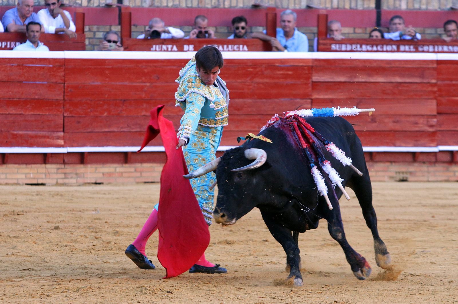 Imágenes de la Novillada de Rafael Serna, Emilio Silvera y Rodrigo Molina.