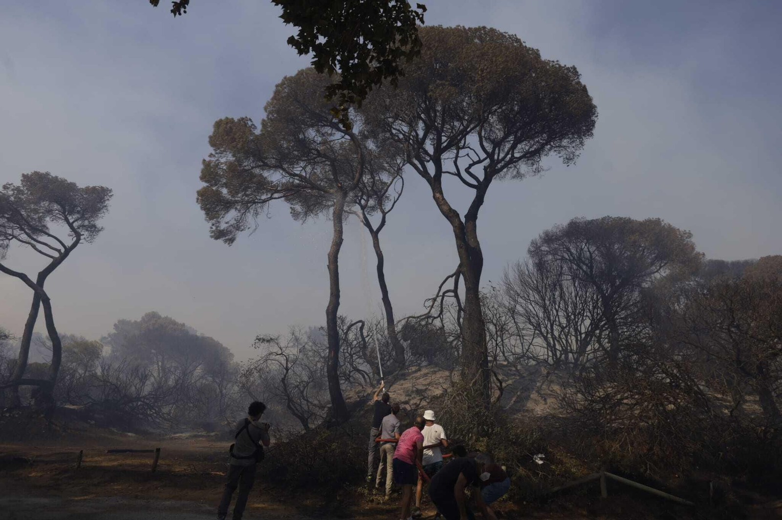 El fuego arrasa Las Canteras en Puerto Real