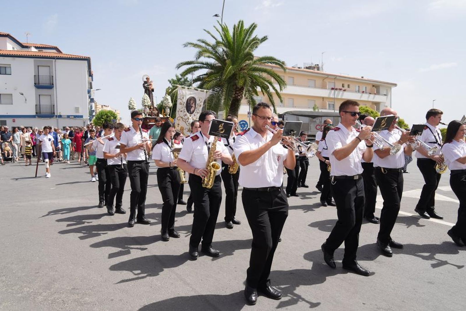 Las mejores imágenes de la procesión de San Antonio en Pozoblanco