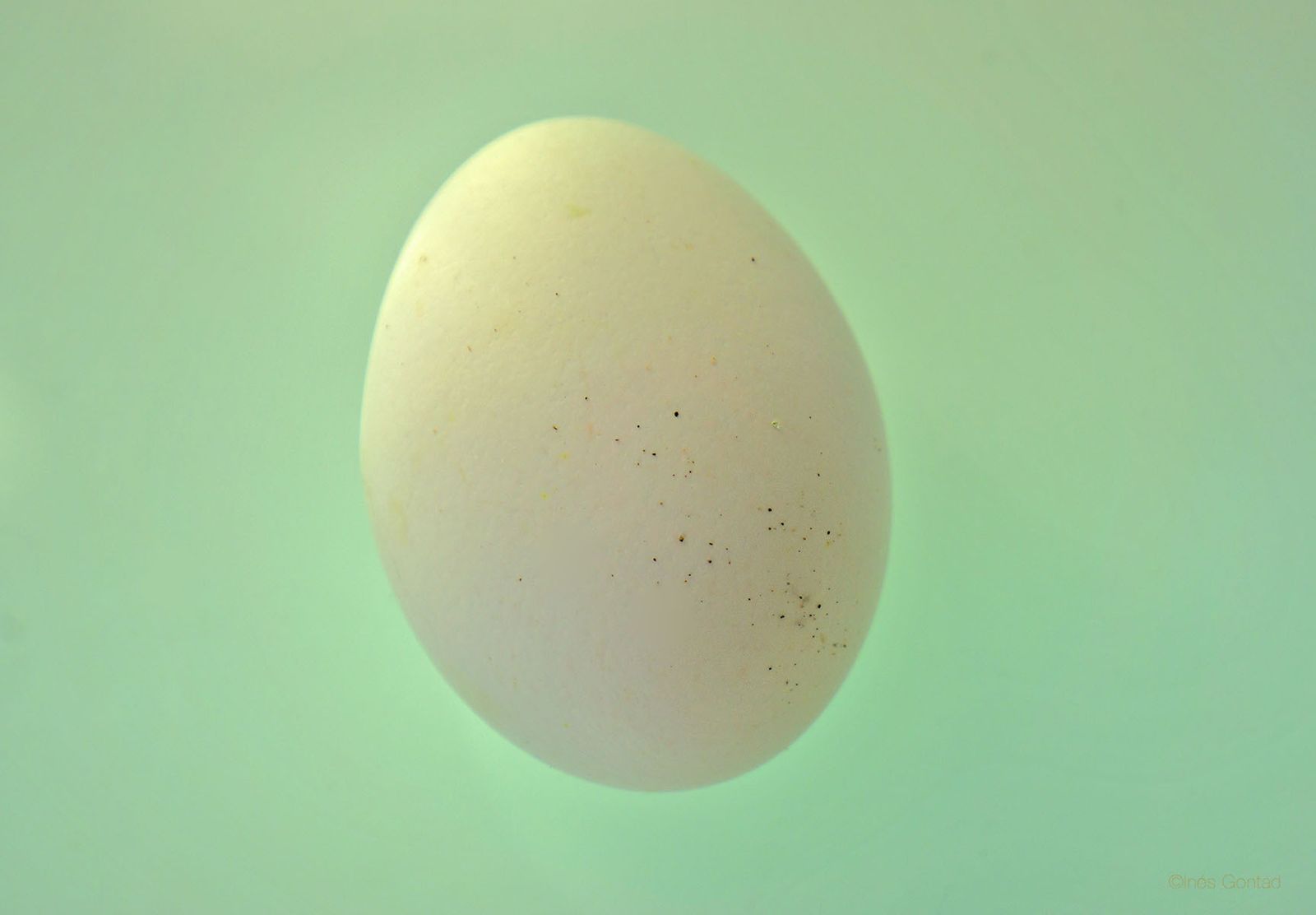 Una de las fotografías que Inés Gontad expone en Benot.