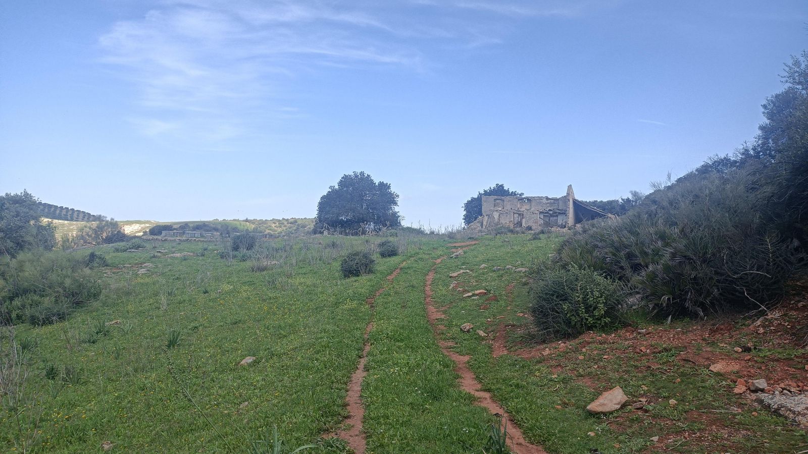 Ruinas del Cortijo de la Cabrera Alta.