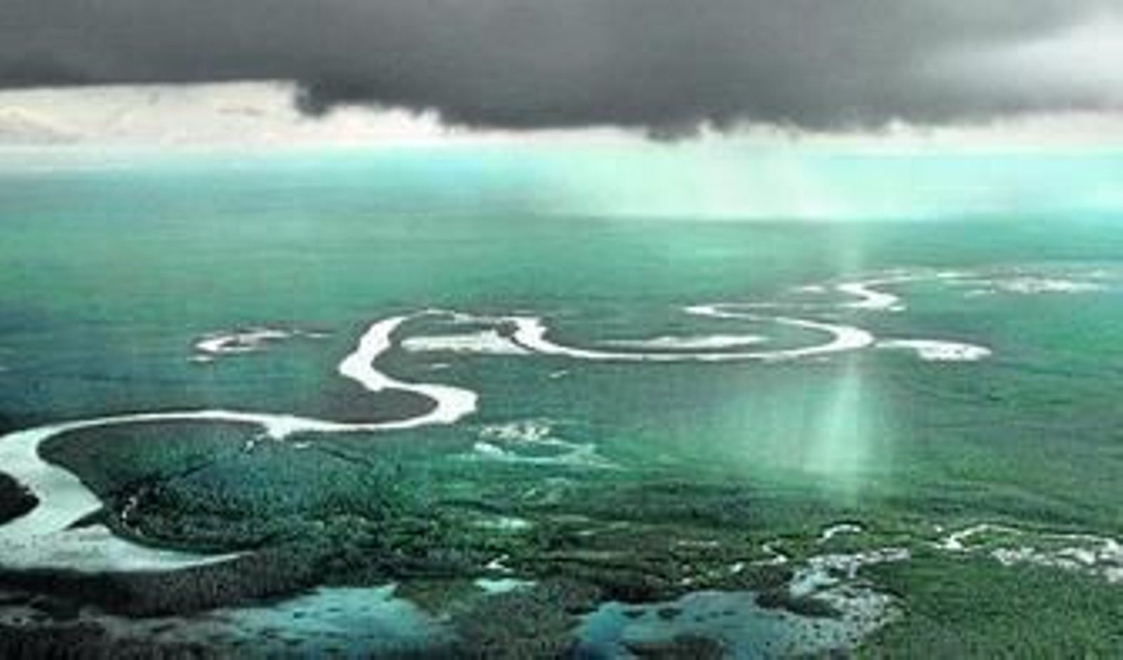 La selva amazónica, la mayor superficie forestal tropical de la Tierra.
