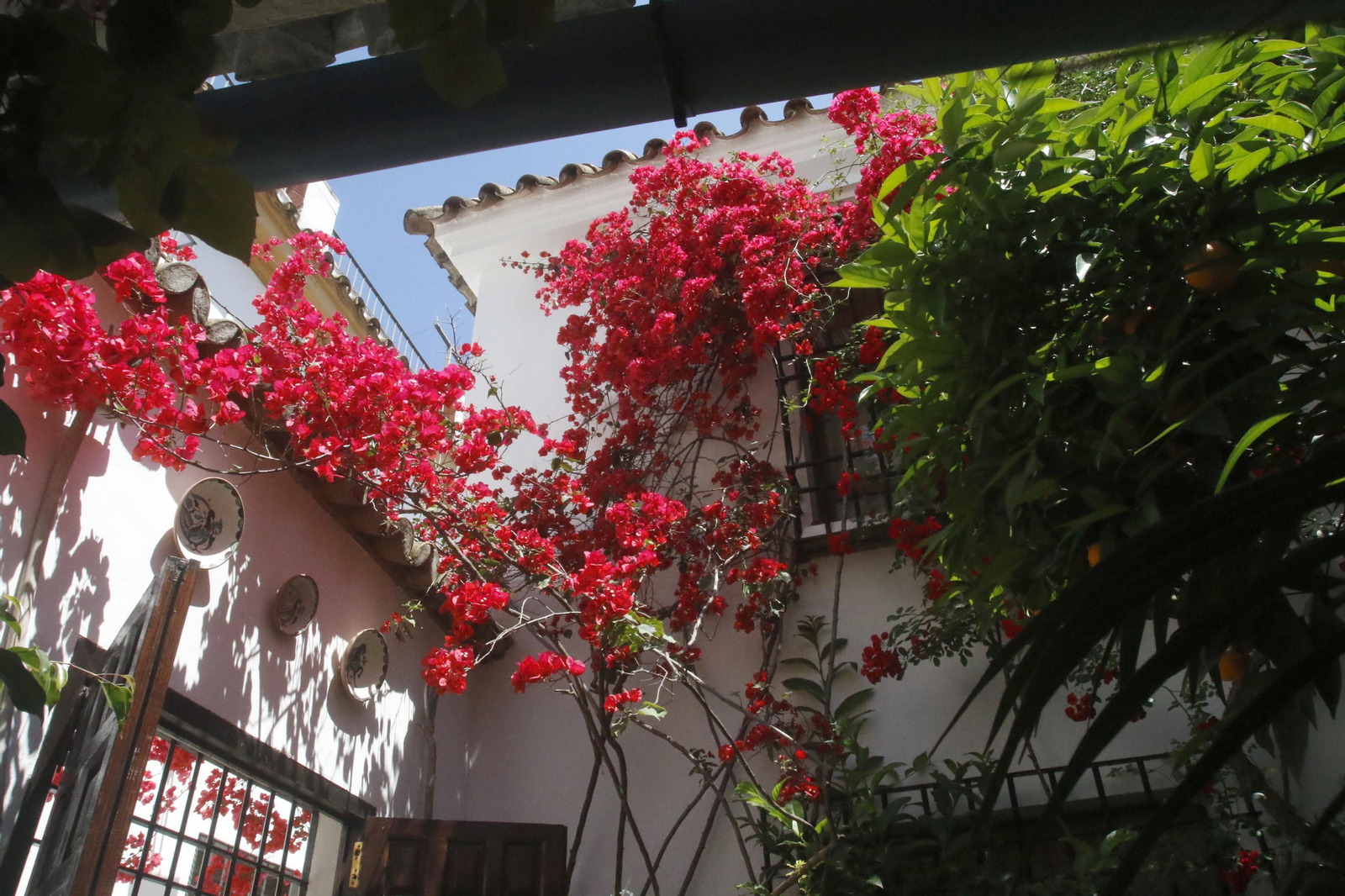 Ruta Santa Marina - San Agustín de los Patios de Córdoba, en imágenes