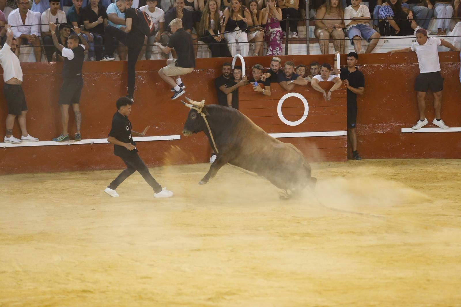 Empaquetado avanza hacia un joven mozo en el encierro del Toro del Aguardiente 2025.