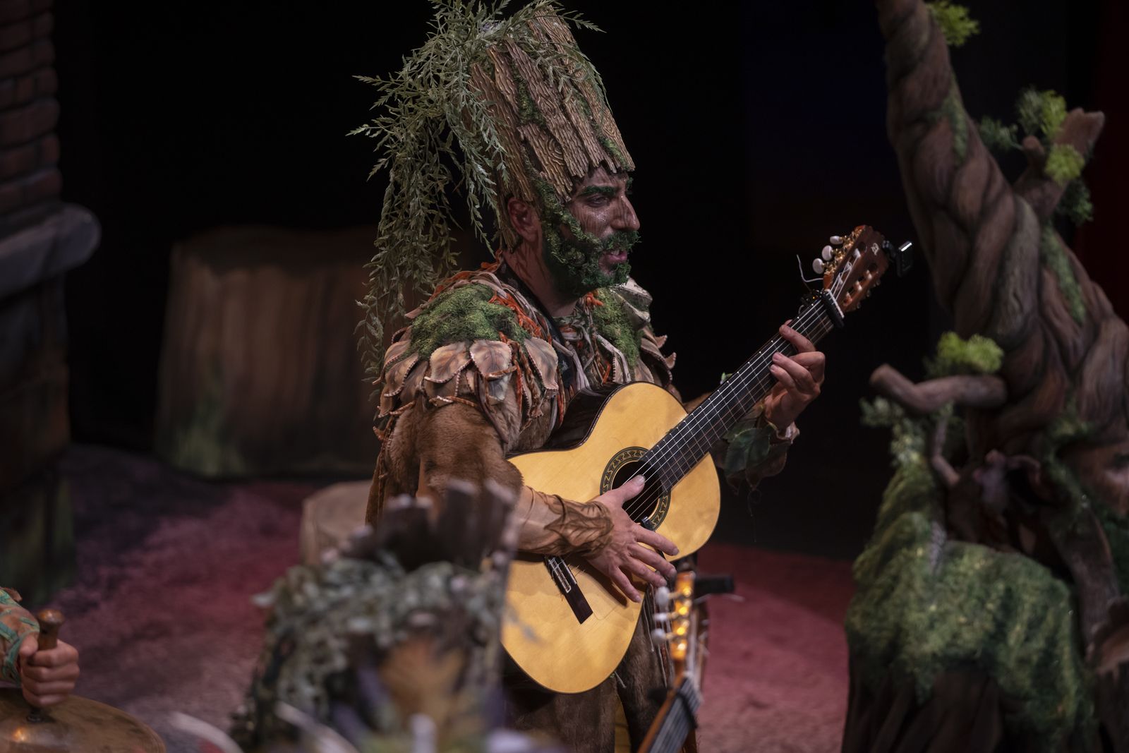 Imágenes de la actuación de la comparsa de Huelva "La vieja verde" en el Carnaval Colombino