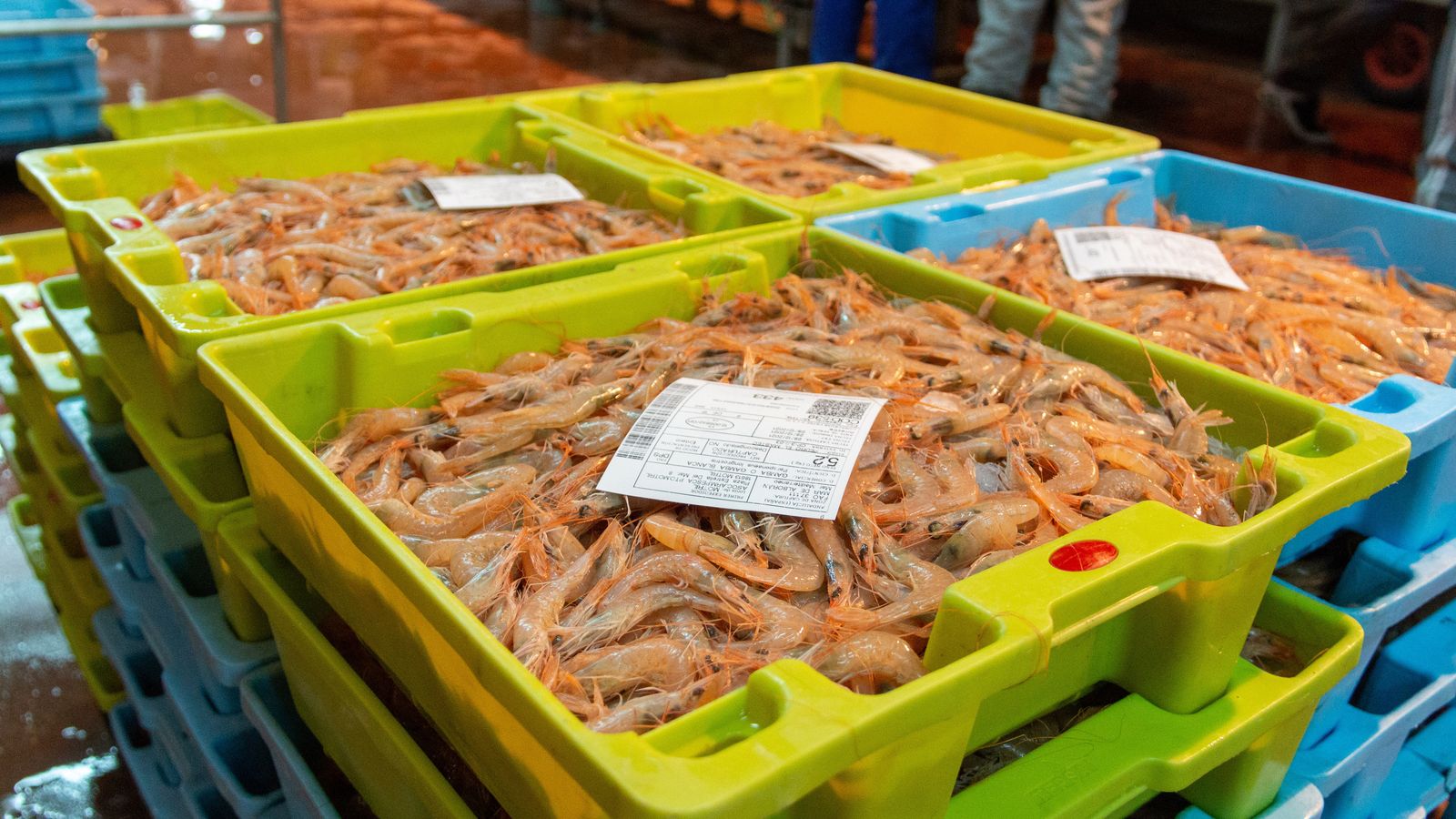 Permitirá conocer las zonas más productivas