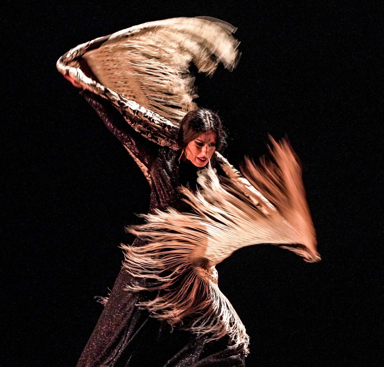 Imágenes de la Compañía de Belén López 'Latidos'