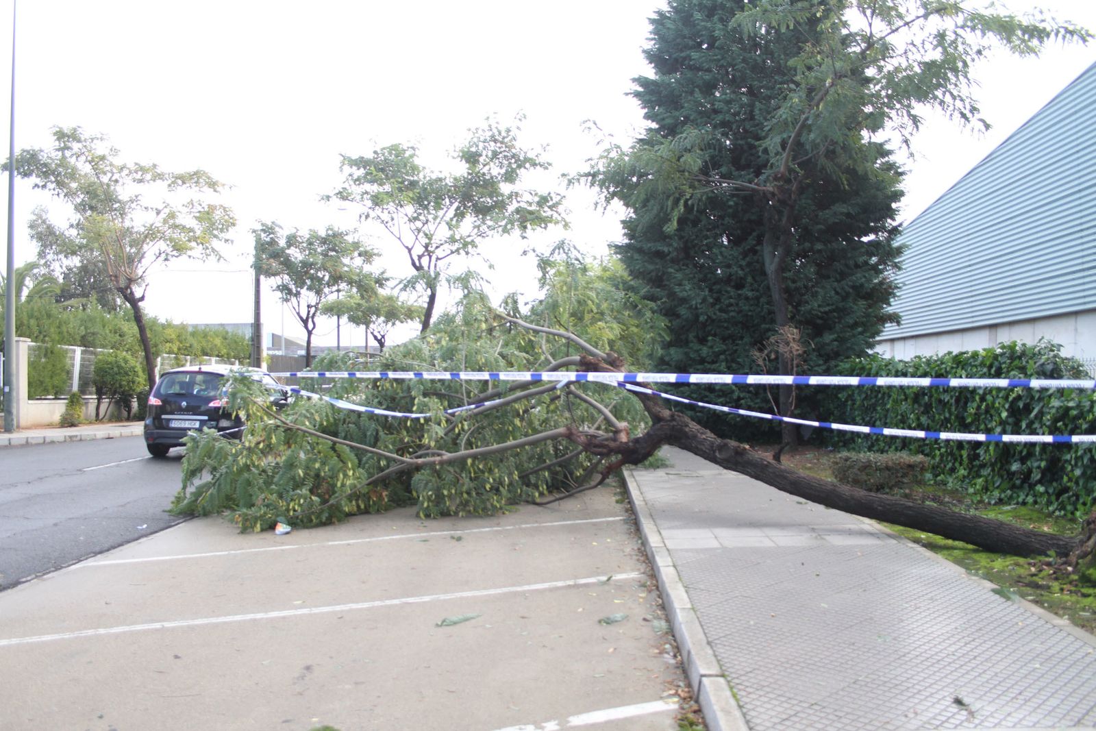 Consecuencias del temporal de lluvia y viento a su paso por la capital