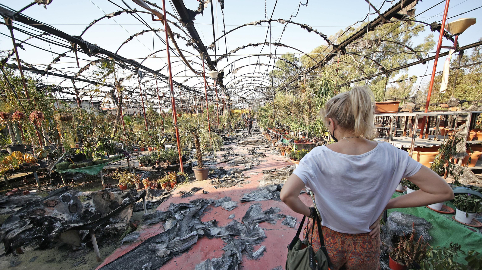 Imágenes de las zonas afectadas por el grave incendio en Jerez