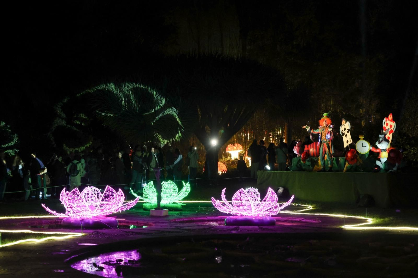 El espectaculo 'La Navidad en el Jardín de las Maravillas¡ en el Jardín Botánico, en imágenes