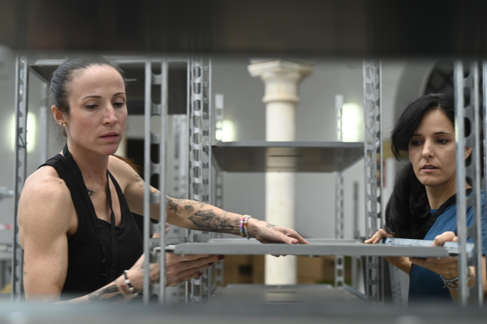 Inicio de los montajes de Flora 2025.