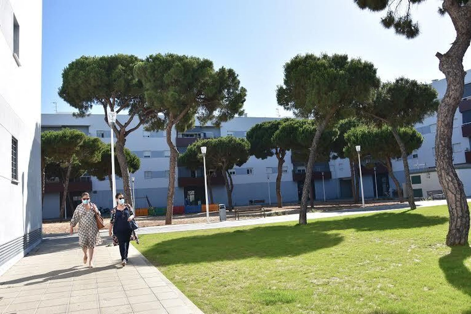 Nuevas zonas verdes en la urbanización Cayetano Hernández del Campo