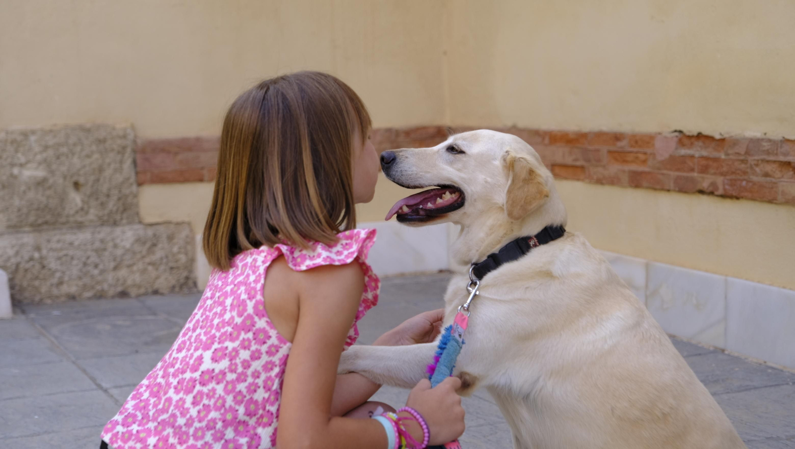 Aria, una perra adoptada, Campeona de España de búsqueda y marcaje de objetos, en imágenes