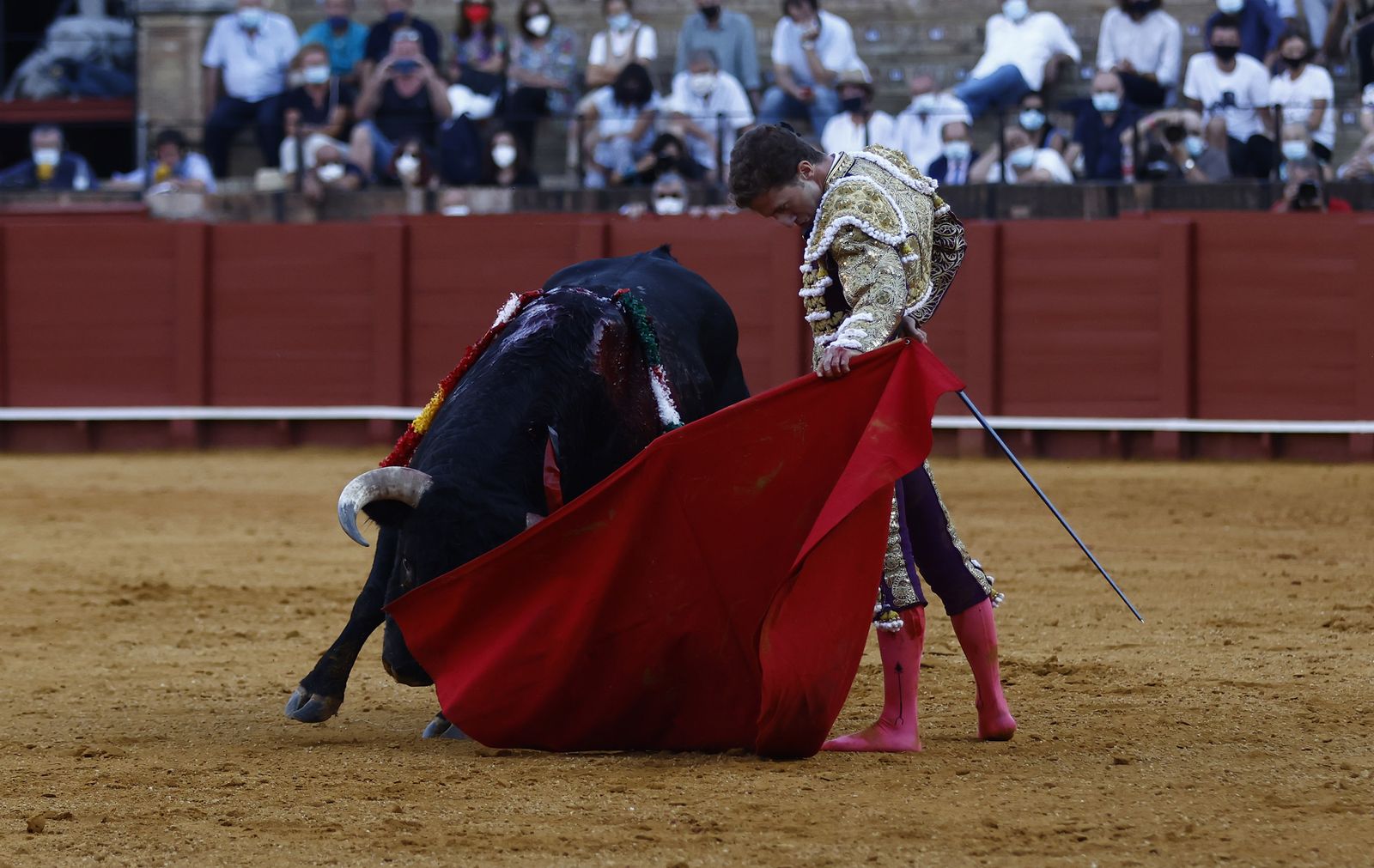 Fotos de la segunda novillada de la feria de San Miguel de Sevilla