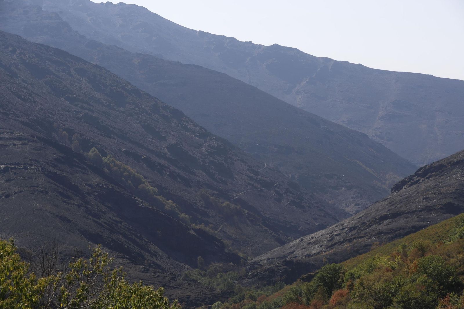 Monte quemado en Galicia por el incendio de Larouco.