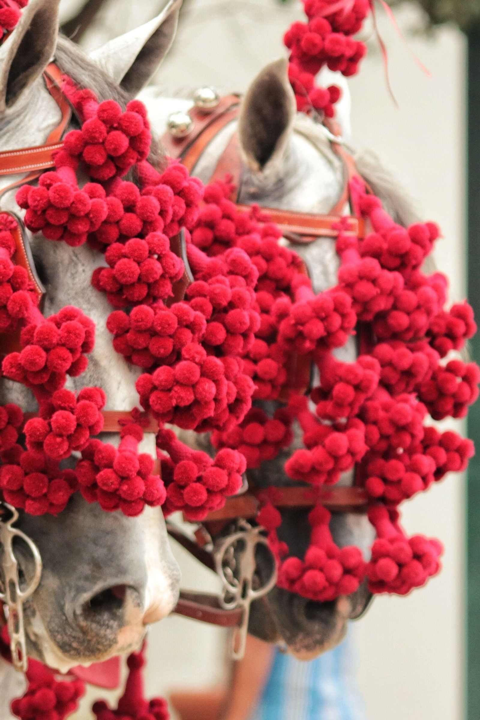 Feria de Málaga: el miércoles 16 de agosto en imágenes