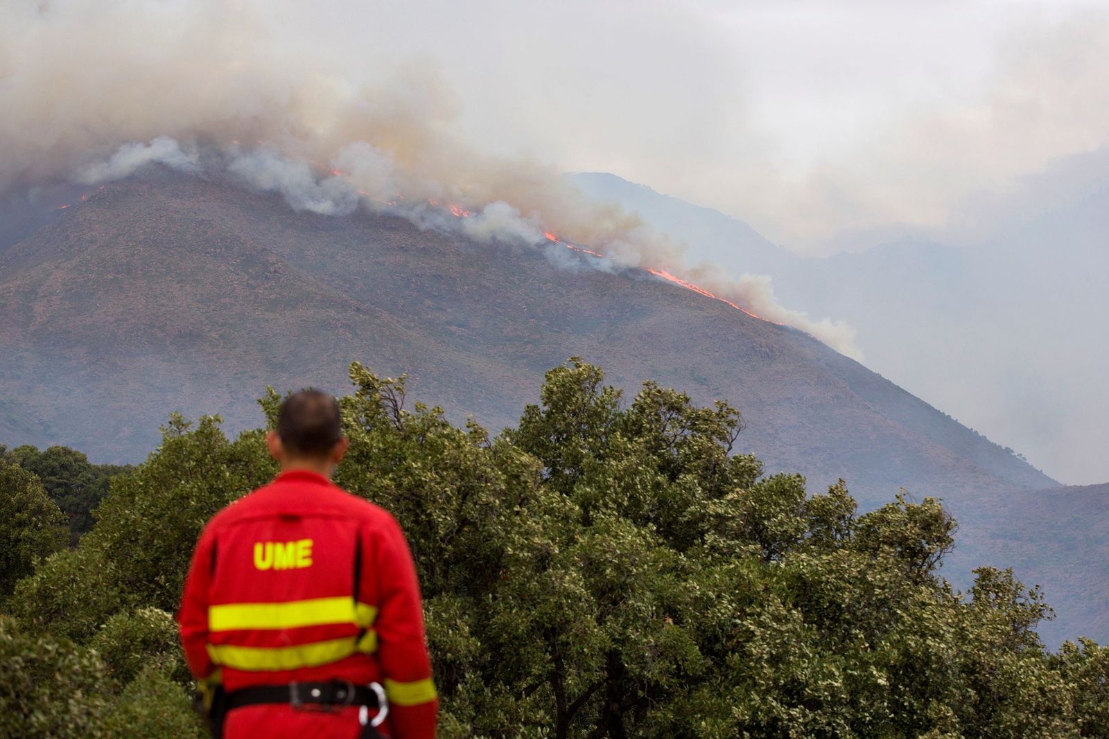 Un agente de la UME, de espaldas, frente a la sierra en llamas.
