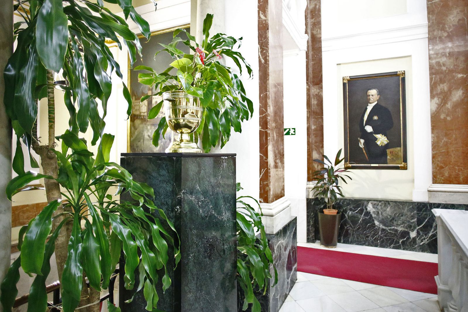 En el pedestal donde estaba el busto de Ramón de Carranza en el Ayuntamiento hay ahora un jarrón con una planta.