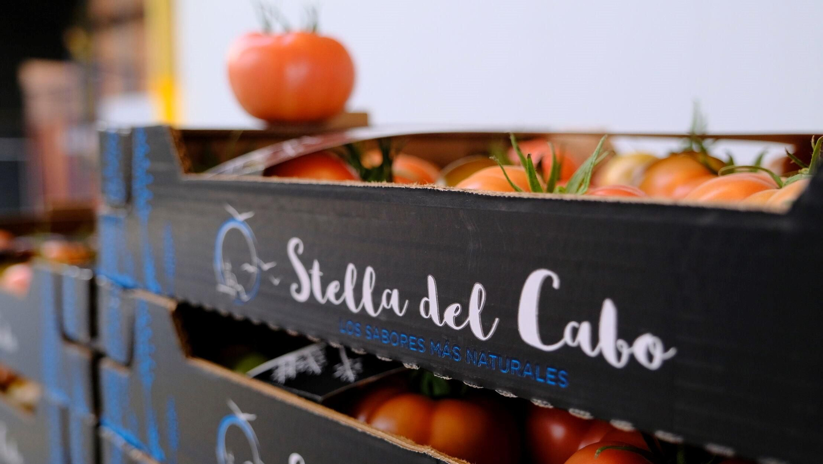 Vea cómo son los tomates almerienses de 'Stella del Cabo'