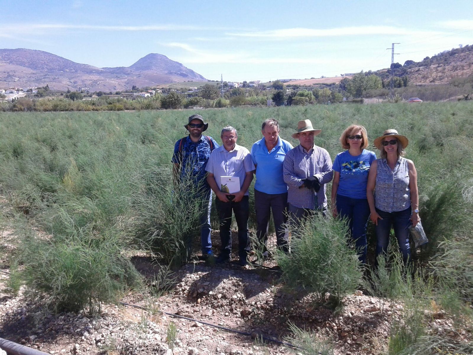 Teresa Soriano (derecha) junto a su grupo de trabajo en la finca experimental de espárrago