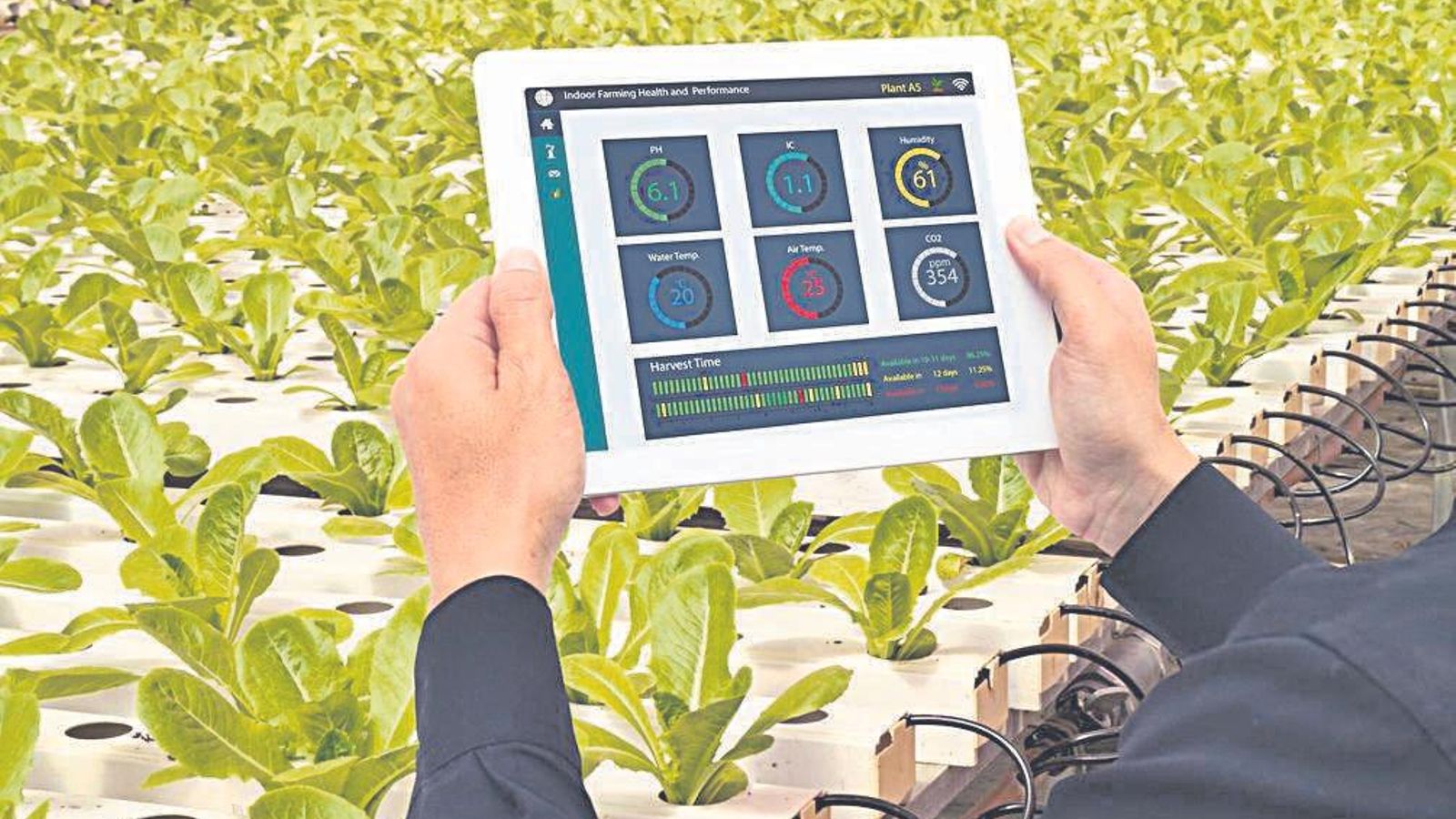 Digitalización de la gestión del agua