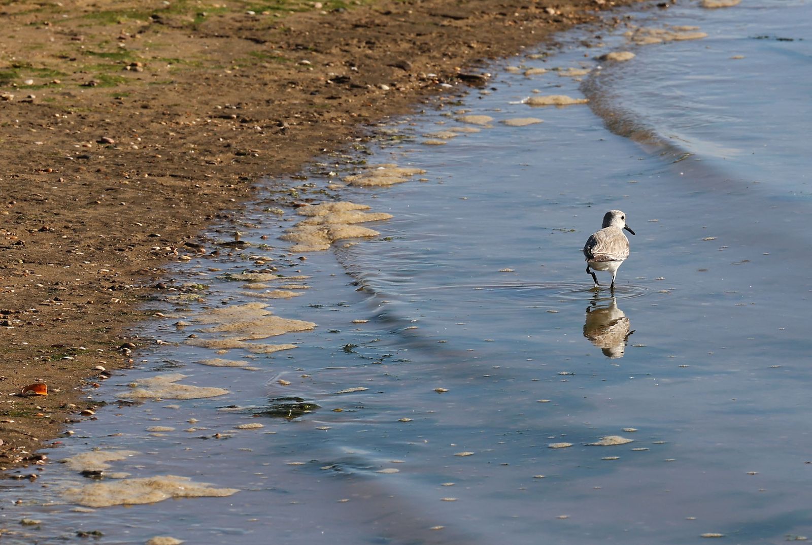 Las imágenes más destacadas del miércoles 28 de febrero en Huelva