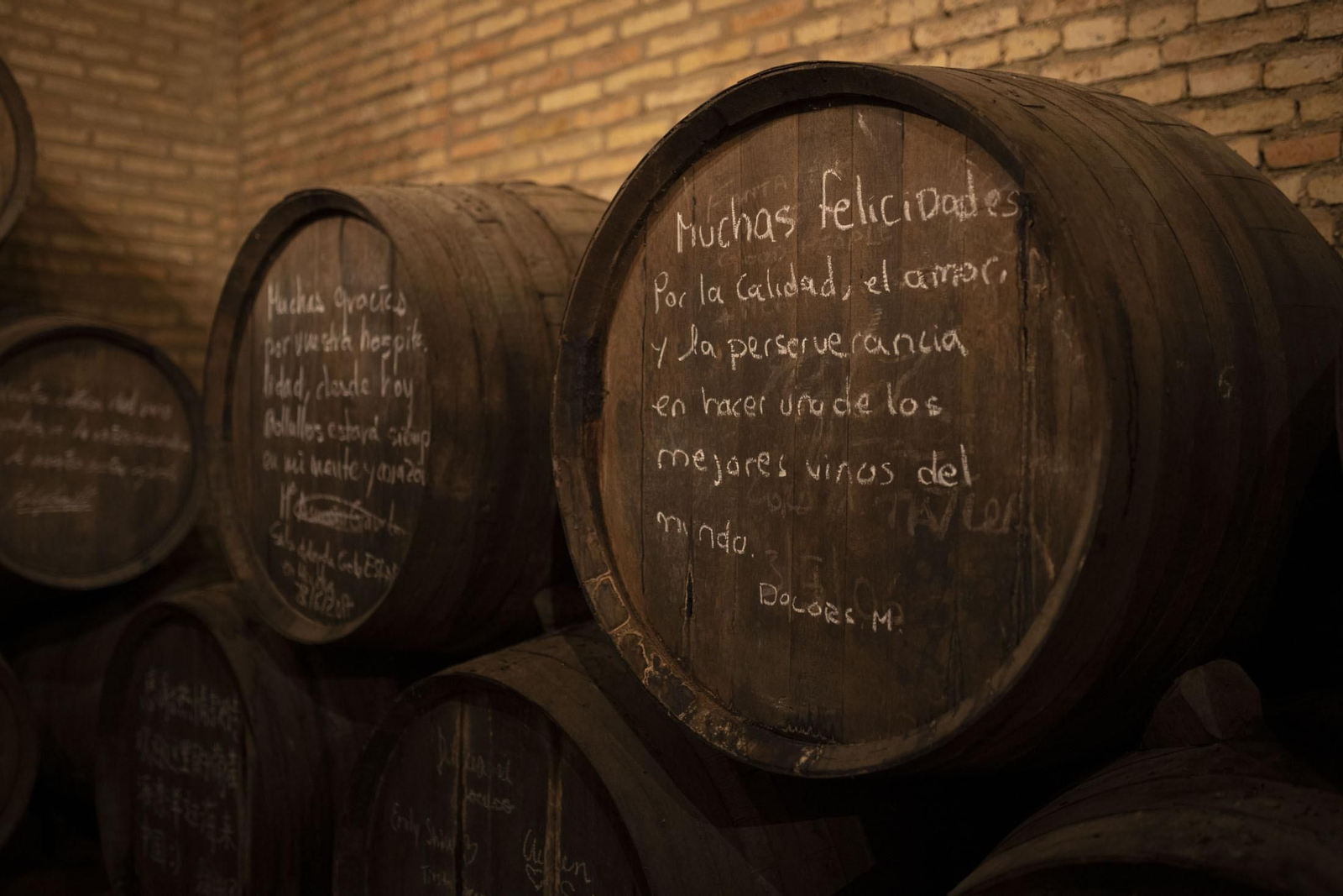 Imágenes de la vendimia en el Condado de Huelva