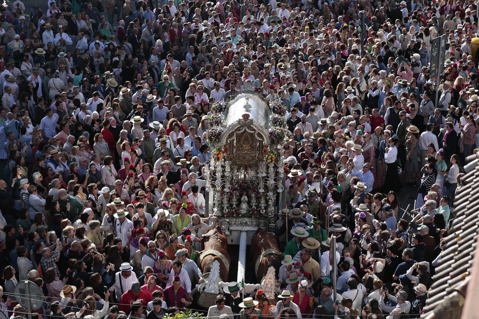 Las imágenes de la salida de la Hermandad del Rocío de Triana