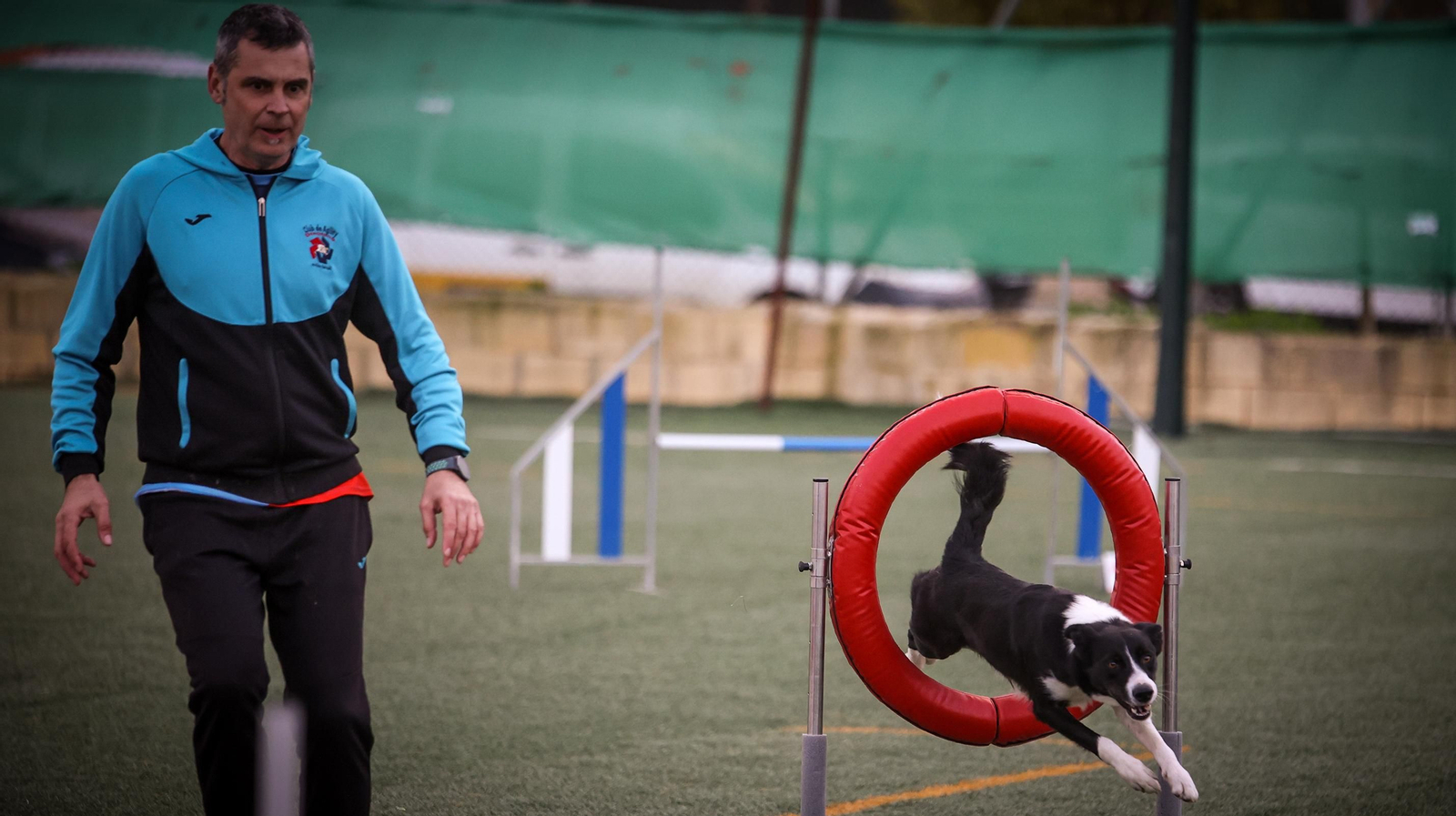 Habilidad canina en la prueba puntuable para el Campeonato de España de 'Agility' celebrado en Jerez Espectaculares las pruebas de disciplina canina puntuables para el Campeonato de España de Agility