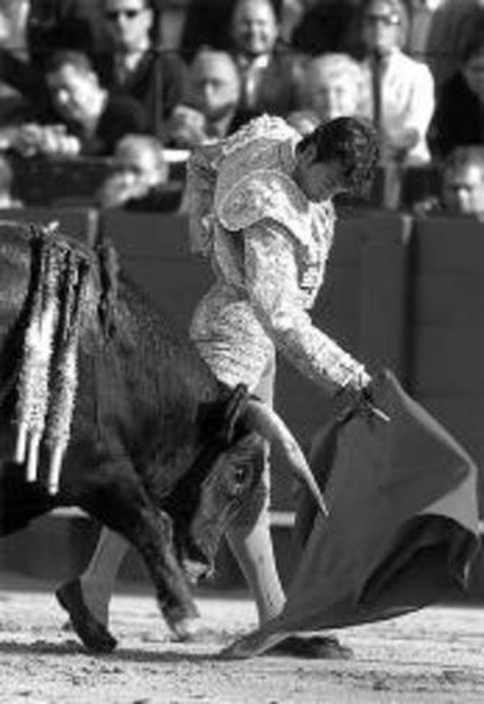 Jesuli de Torrecera.