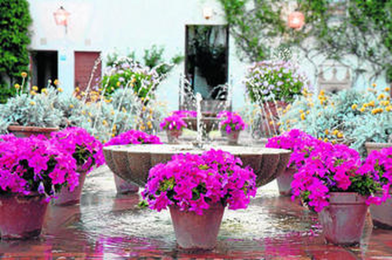 'Fuente de vida', imagen que ganó el concurso en su primer año.