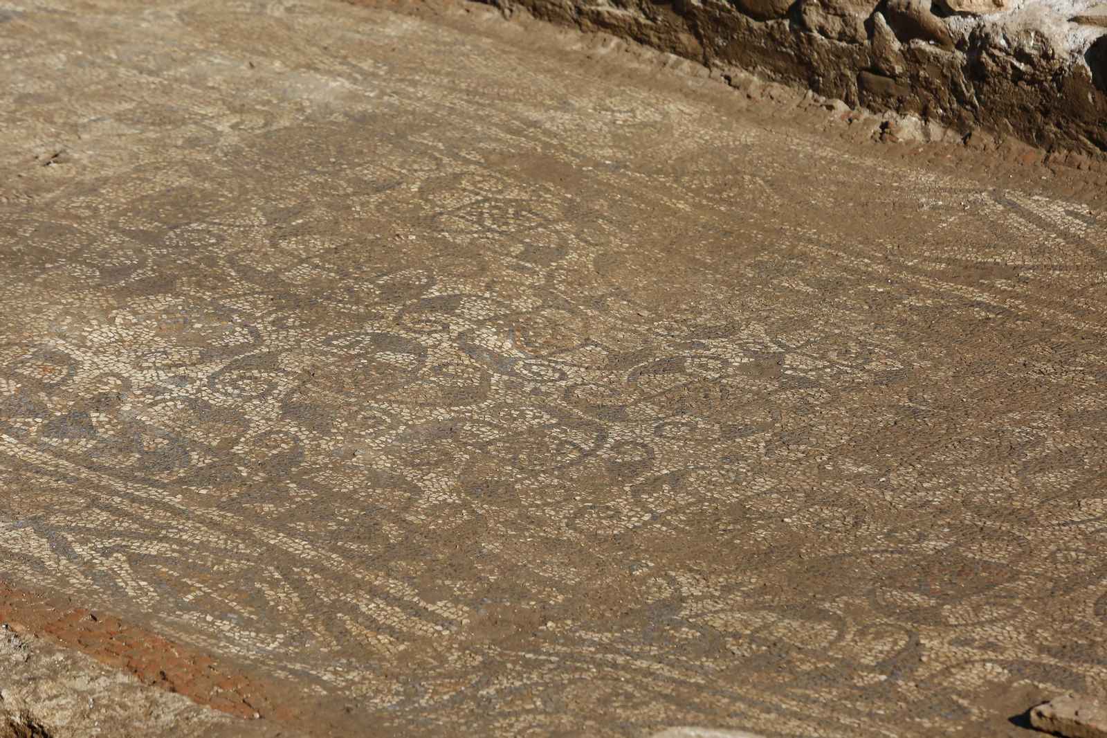 Fotos: así es el mosaico romano encontrado en la villa del Zaidín