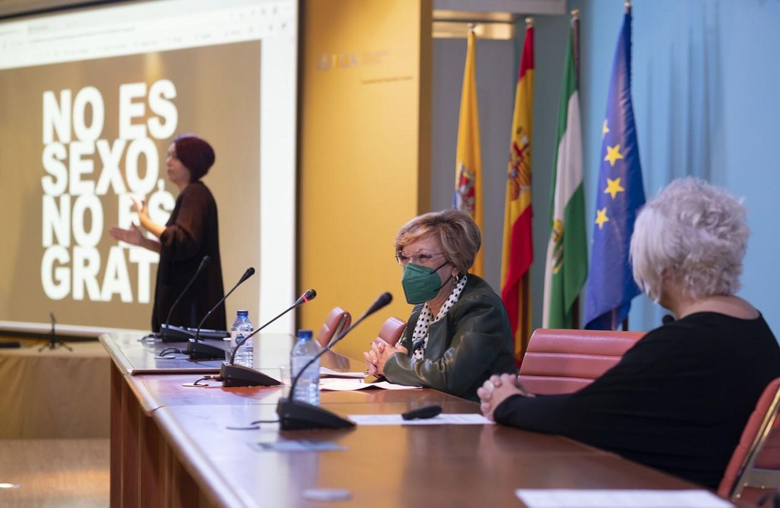 Un momento de la  jornada celebrada por la Diputación.