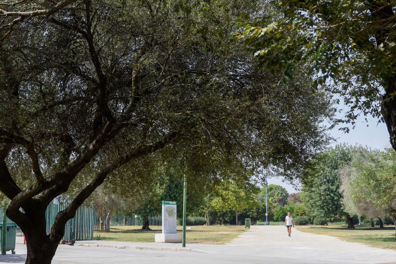 Un hombre pasea por el Parque del Alamillo.