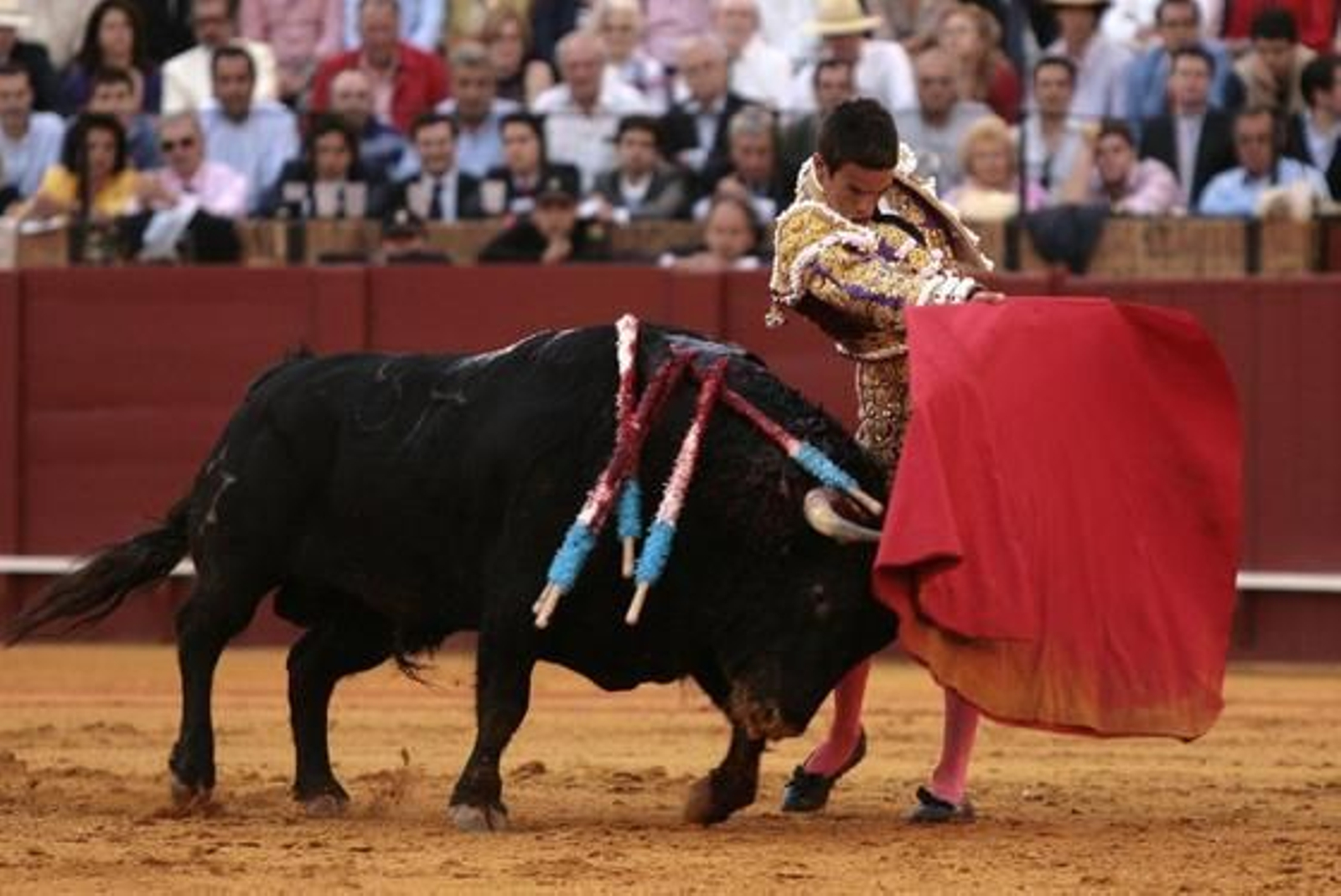 Manzanares con el quinto toro.

Foto: Juan Carlos Muñoz