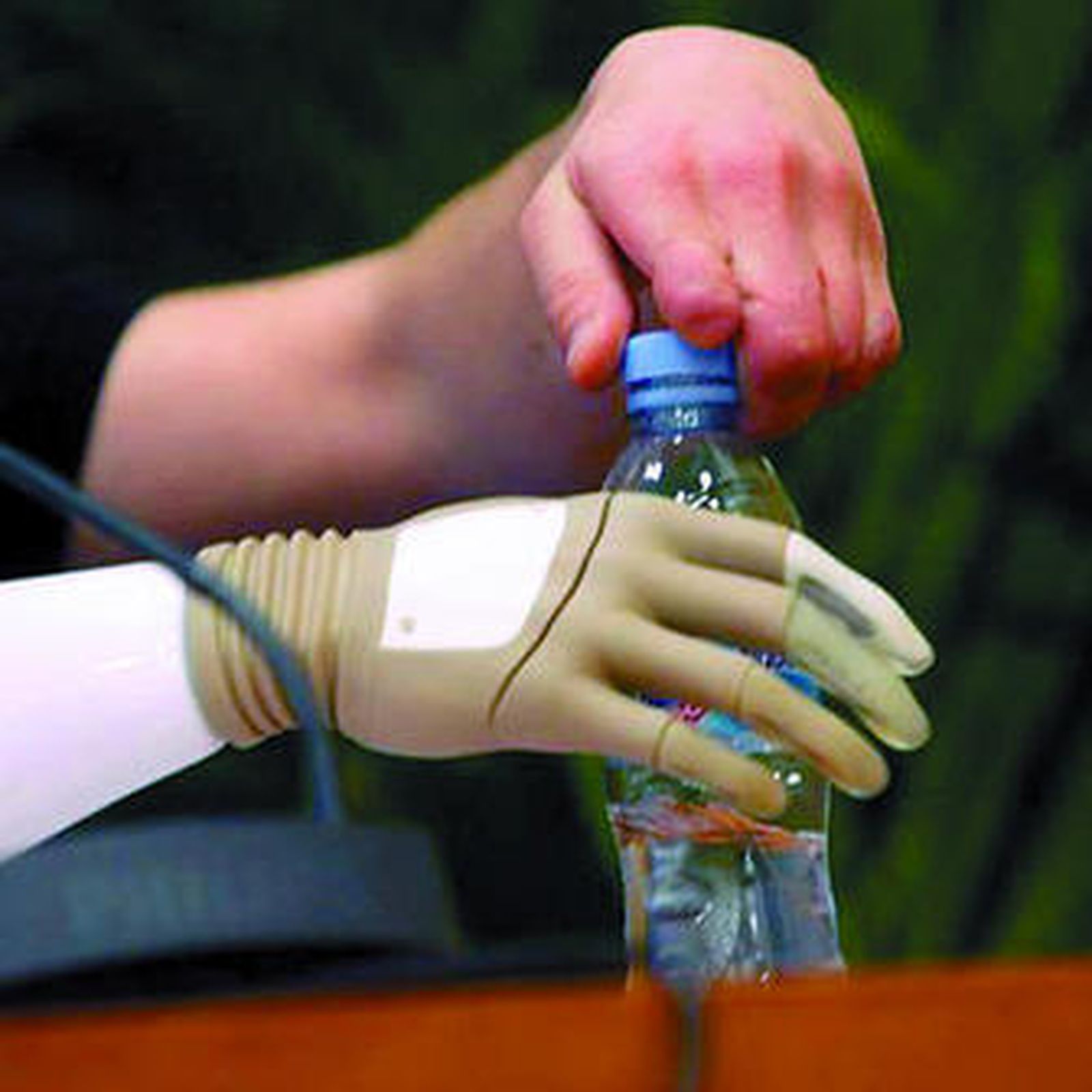 La mano Michelangelo.