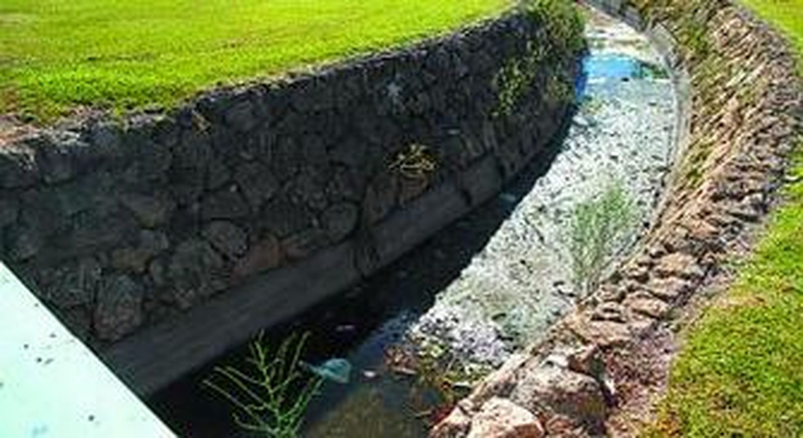 Un canal de pluviales del parque del Oeste, estancado.