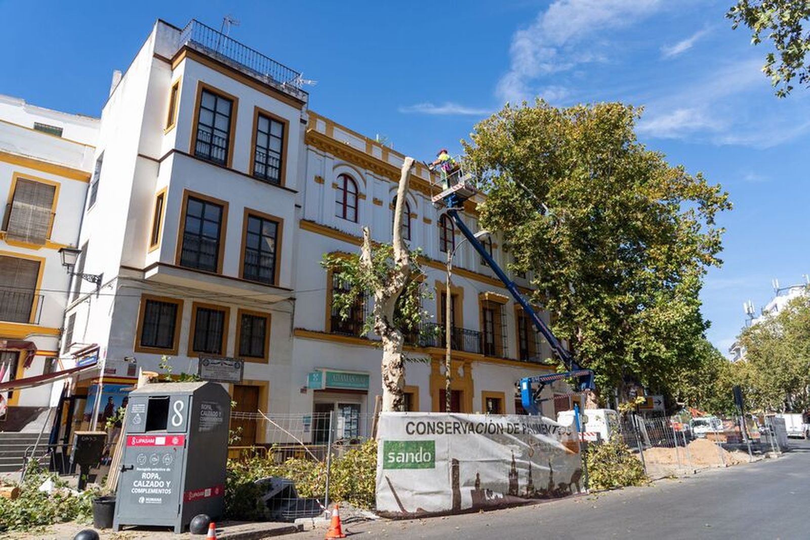 Los árboles de Adriano