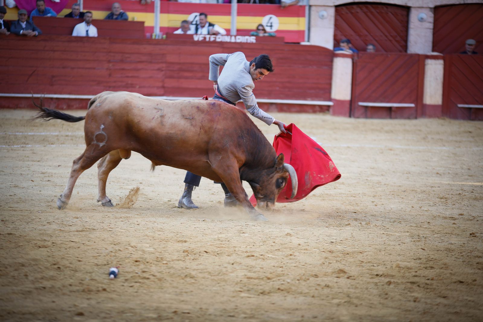 Imágenes del festival mixto lucha contra el cáncer