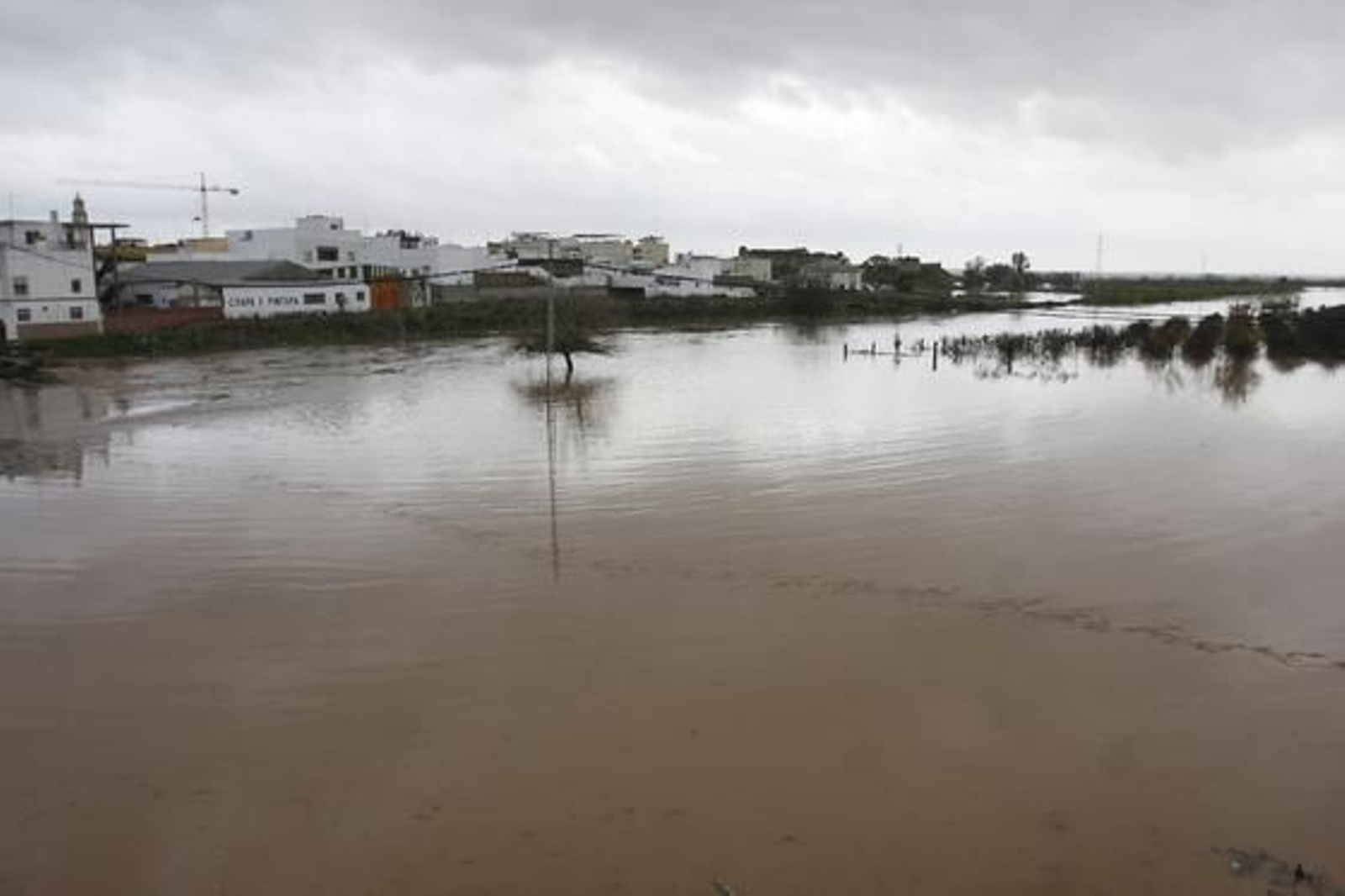 Las consecuencias de las fuertes lluvias en Lora del Río. 

Foto: José Ángel García
