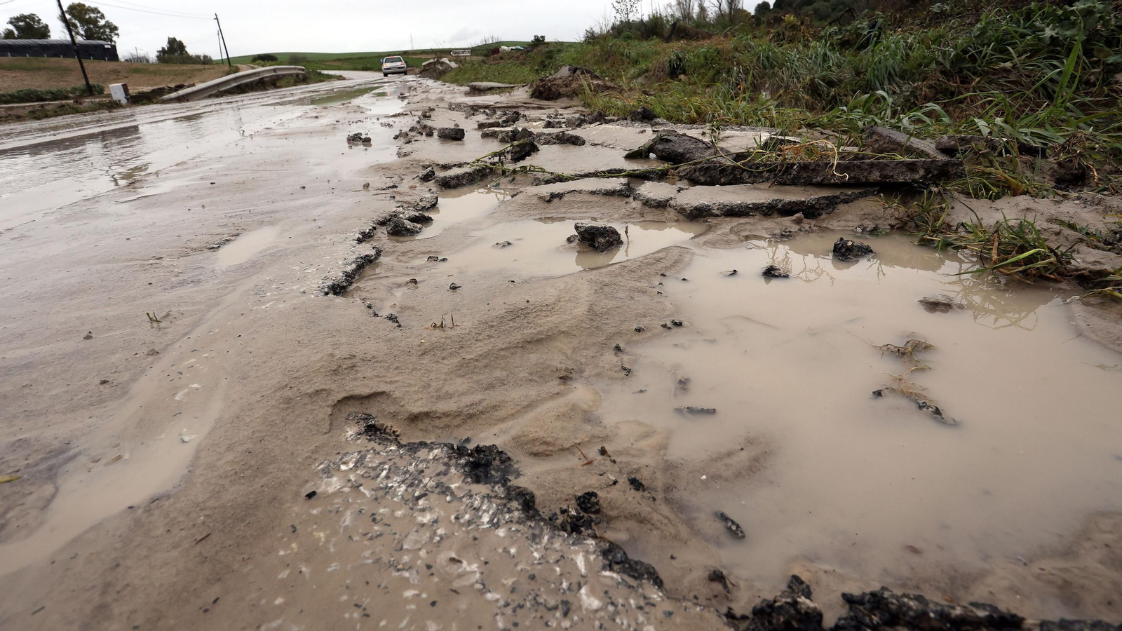 Imágenes del temporal de viento y lluvia en Jerez
