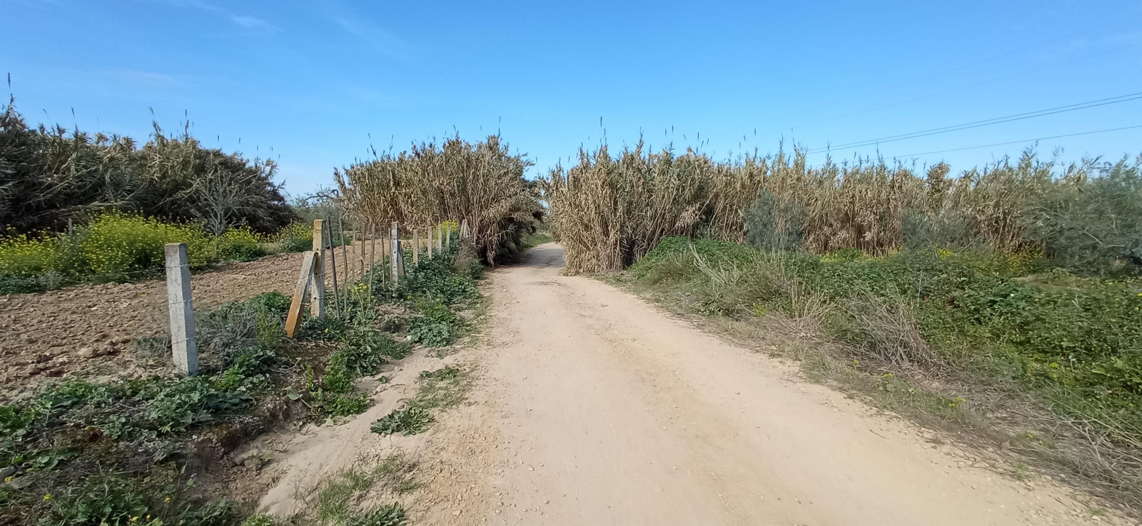 Las imágenes de la ruta de la dehesa de Albaida del Aljarafe