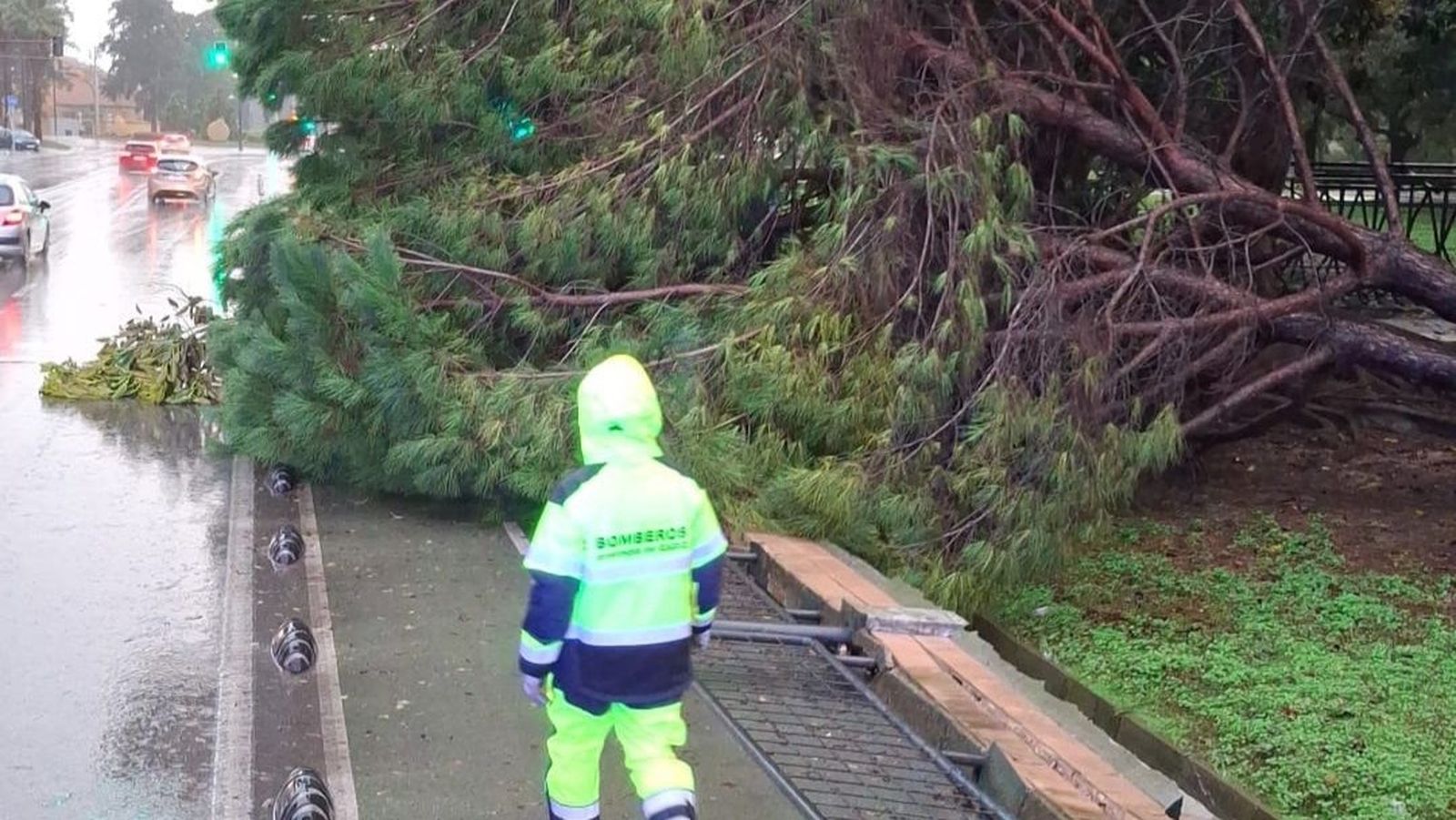 La borrasca Francis ha derribado un árbol de gran porte en el Parque del Oeste, que ha caído derribando parte de la valla del Parque del Oeste, en San Fernando