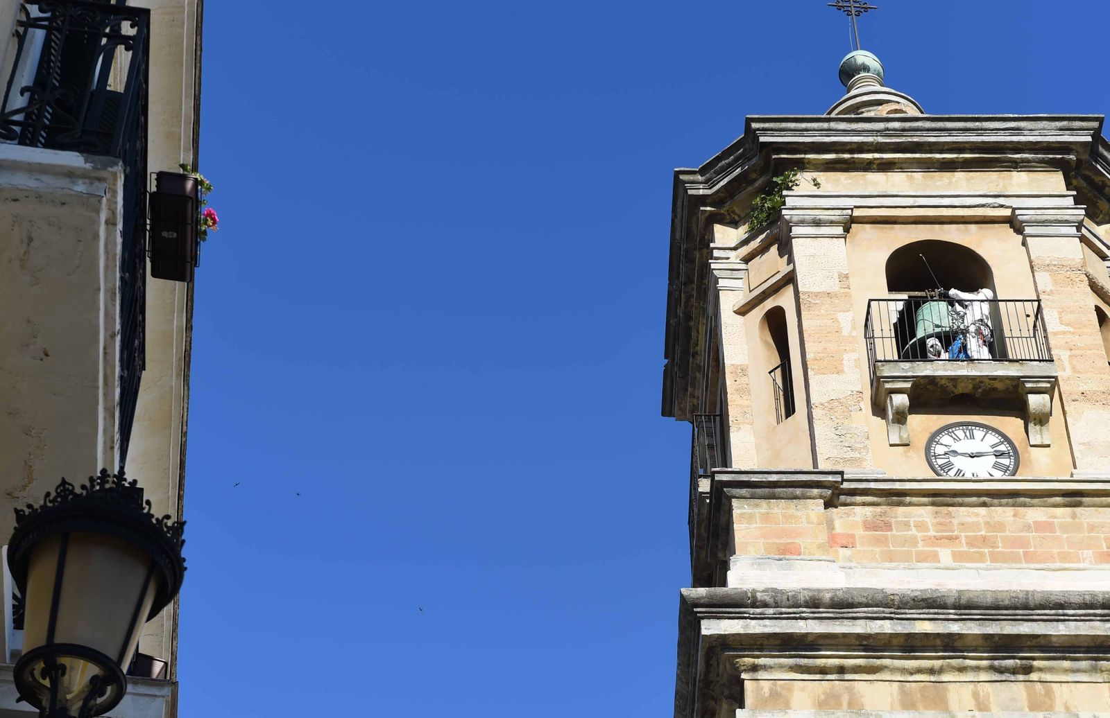 Uno de los operarios, echando el herbicida a las higueras ayer.