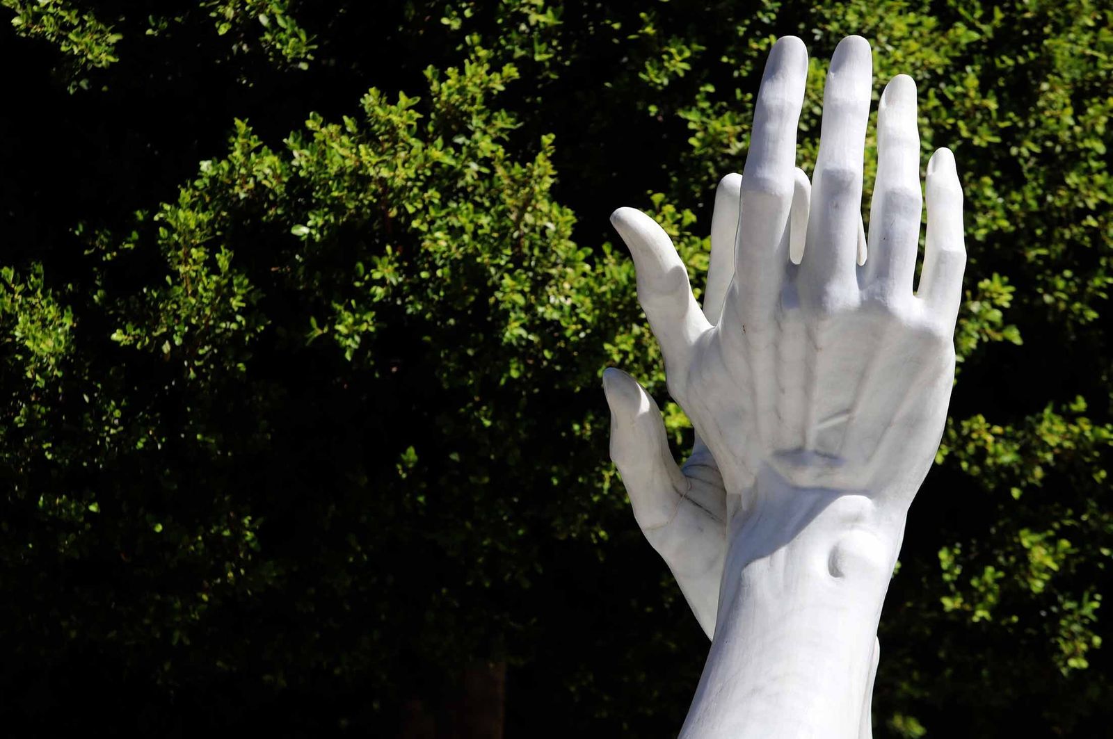 Imágenes del lunes 28 de agosto en Huelva