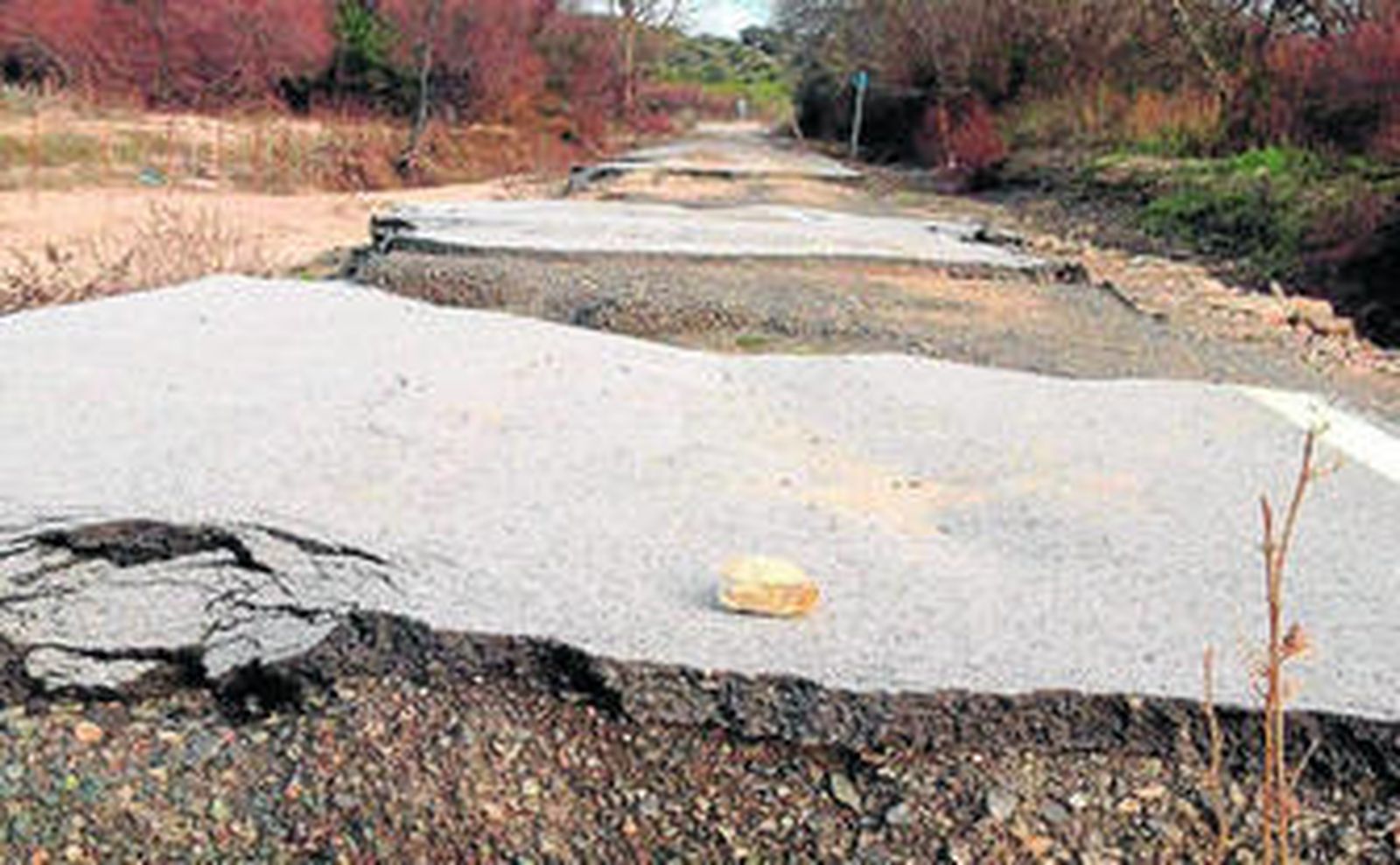 Un aspecto de la carretera que une la pedanía de La Muela con Olvera.