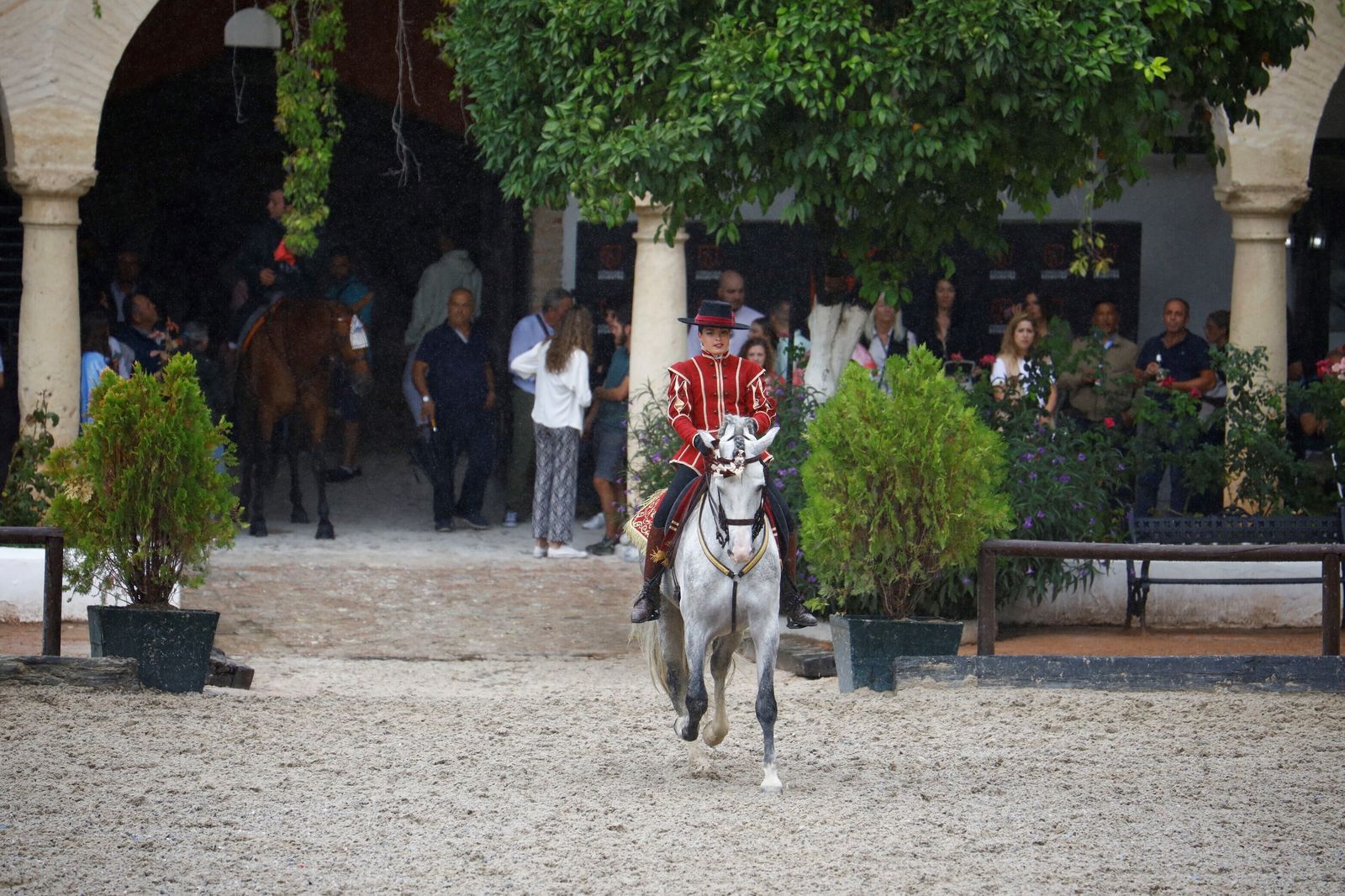 La celebración de la VI Copa de España de Alta Escuela en Córdoba, en imágenes