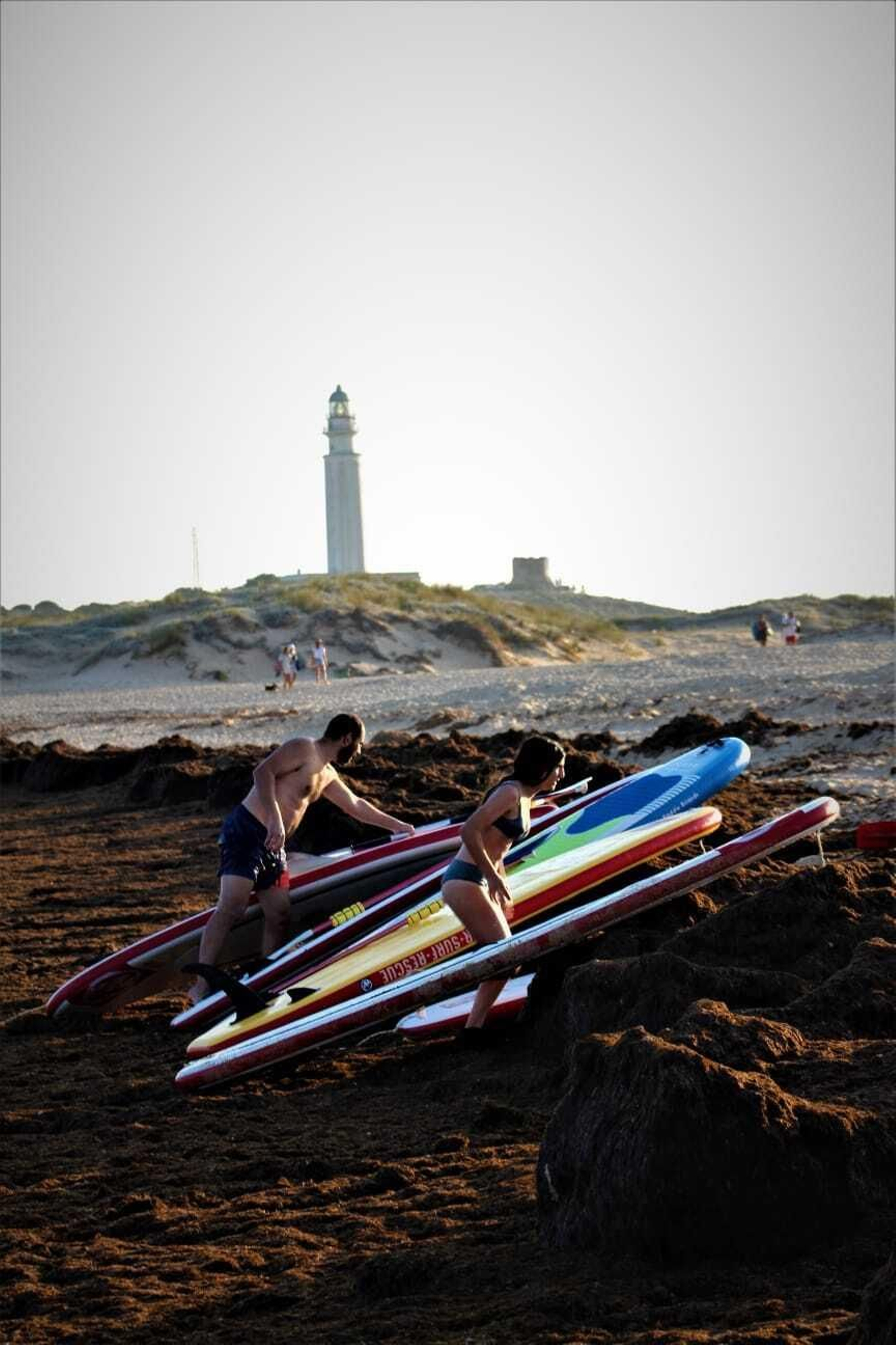 La playa de Los Caños de Meca, invadida por las algas