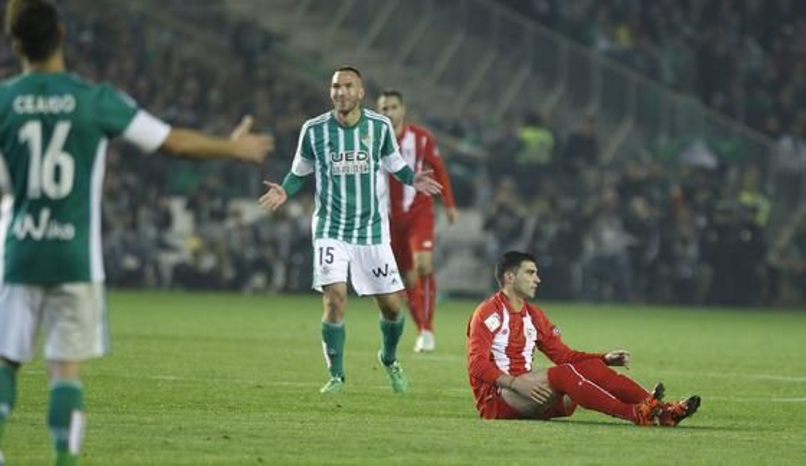 Foto: A. Pizarro/J.C. Muñoz