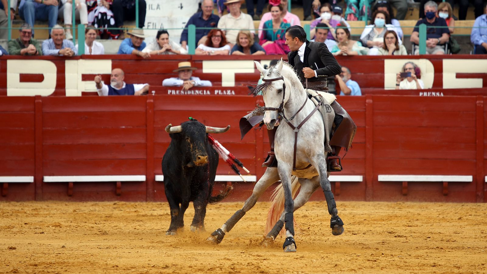 Toros en Jerez: El arte ecuestre